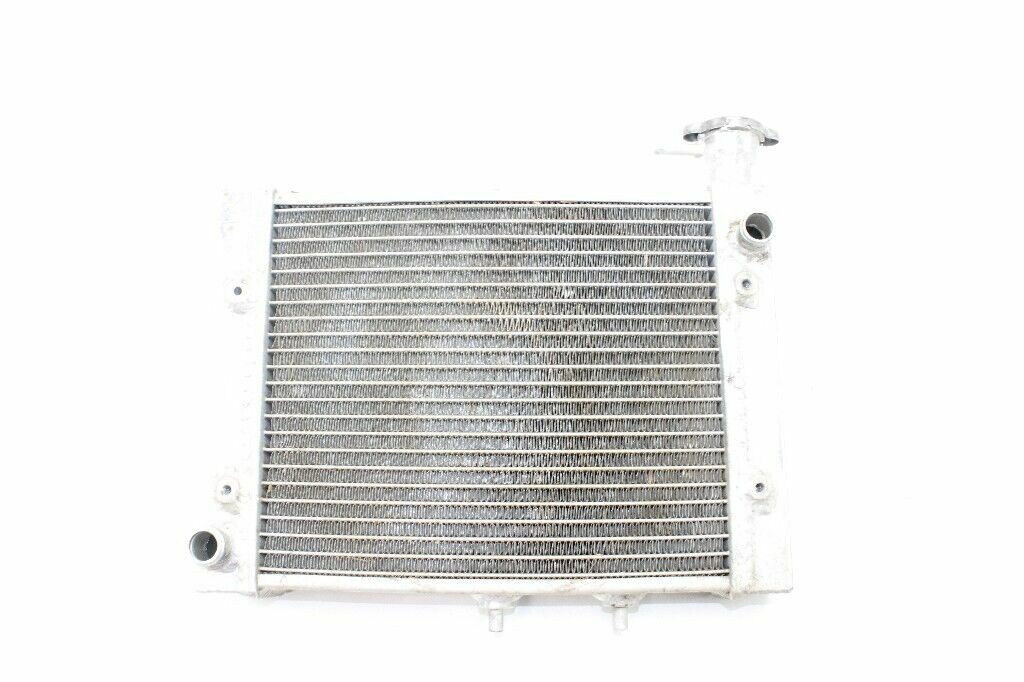 2009 Radiator OEM: 709200120