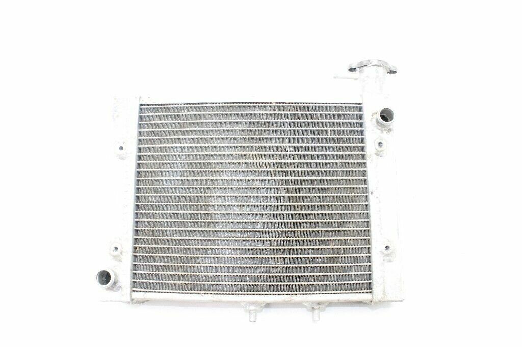 2009   Radiator  OEM: 709200120