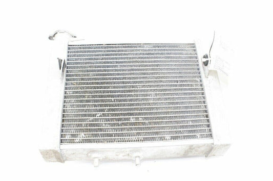 2009   Radiator  OEM: 709200120