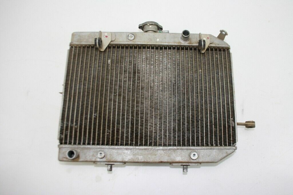 2003 Honda Rincon 650 Radiator OEM: 19010-HN8-003