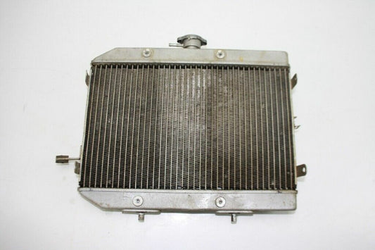 2003 Honda Rincon 650 Radiator OEM: 19010-HN8-003