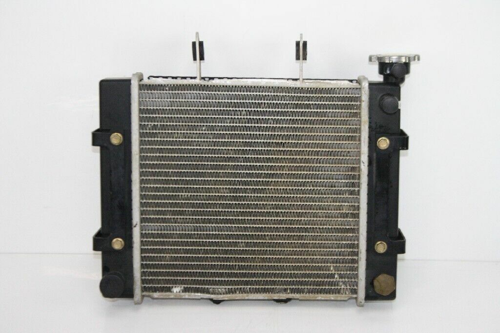 2005 Can-Am Rally 175 Radiator OEM: A19000179000