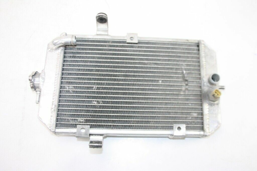 2002 Yamaha Raptor 660R Radiator OEM: 5LP-12461-10-00 4FL-12462-00-0