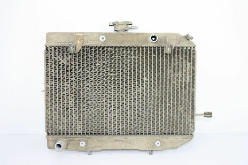 2007 HONDA Rincon 680 Radiator OEM: 19010-HN8-A61