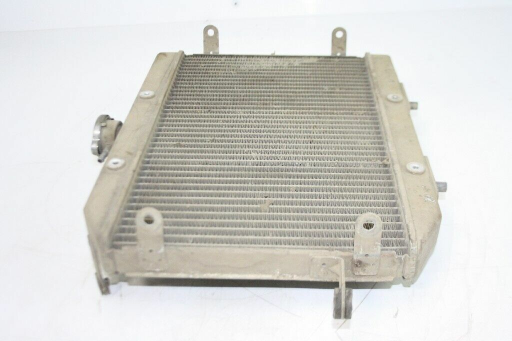 2007 HONDA Rincon 680 Radiator OEM: 19010-HN8-A61