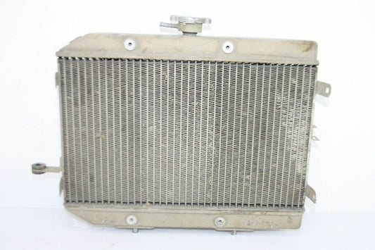 2007 HONDA Rincon 680 Radiator OEM: 19010-HN8-A61