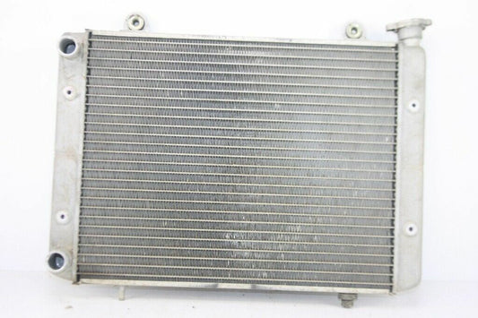 2010 POLARIS Ranger XP 800 Radiator OEM: 1240385 1240300