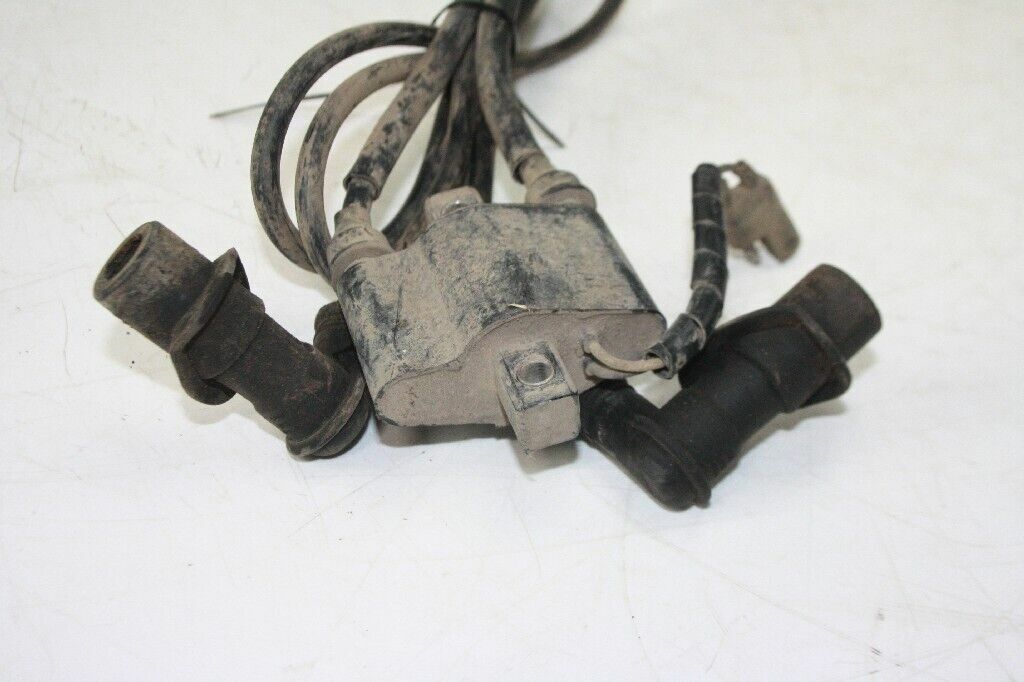 2004 POLARIS Sportsman 700 Ignition Module  OEM: 4010696