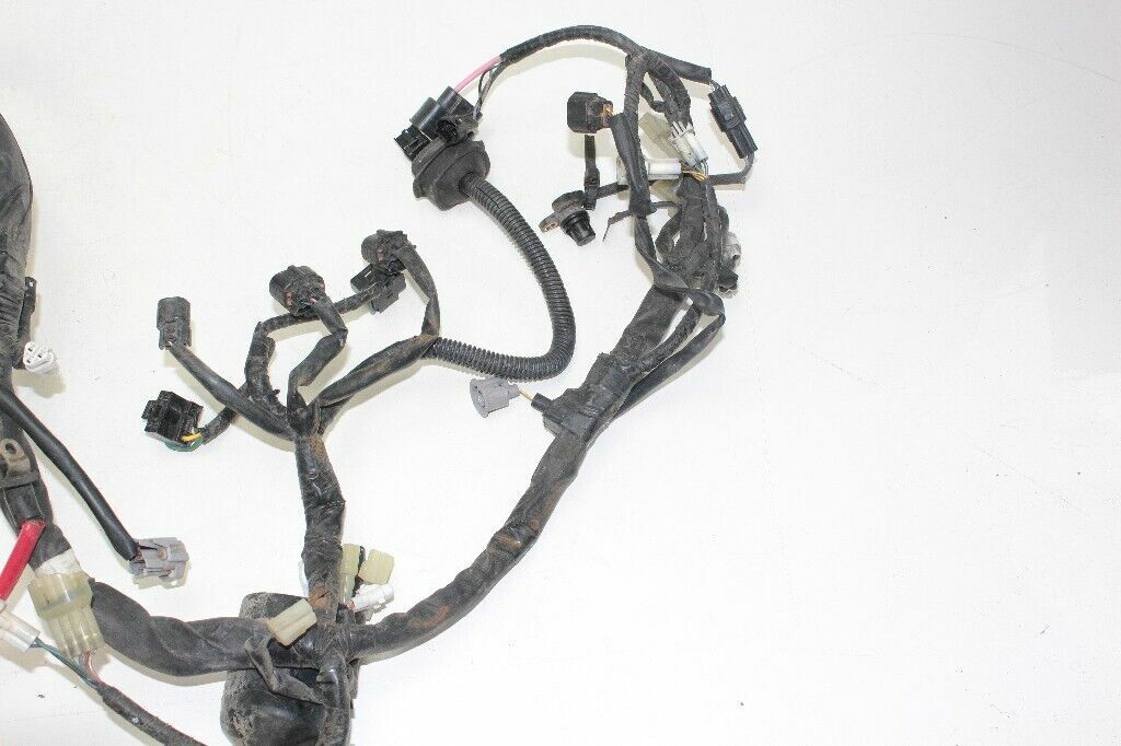 2013 POLARIS 800 PRO RMK Wiring Harness OEM: 2411810