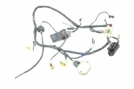 2002 Honda Rancher 350 TRX350FM2 Wiring Harness OEM: 32100-HN5-670