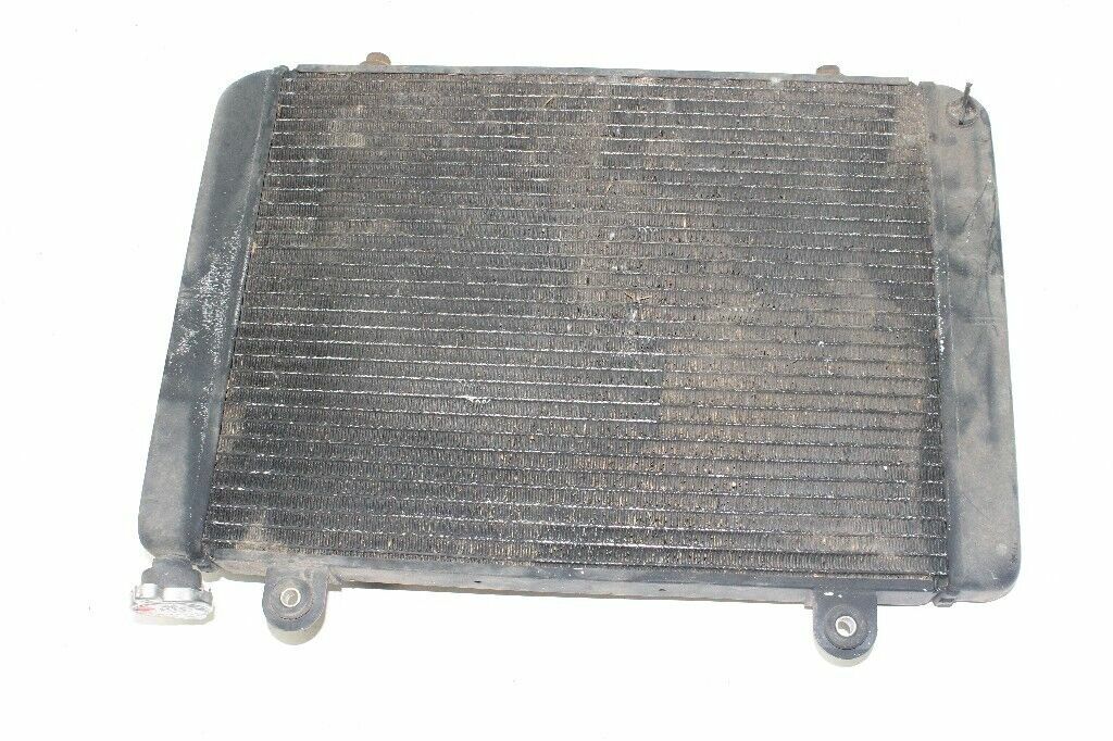 2008 POLARIS Ranger 700 Radiator OEM: 1240286