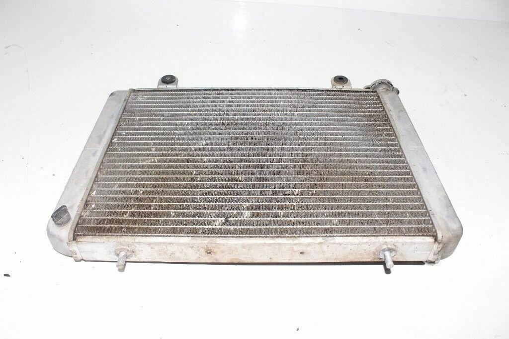 2009 POLARIS Ranger XP 700 Radiator OEM: 1240385