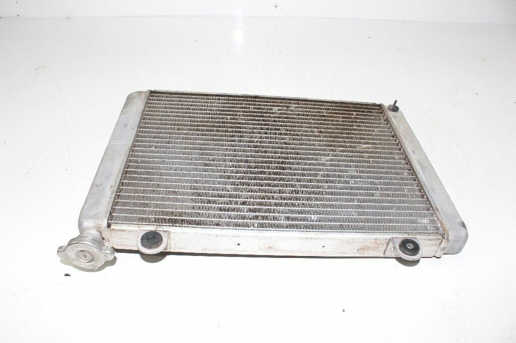 2009 POLARIS Ranger XP 700 Radiator OEM: 1240385