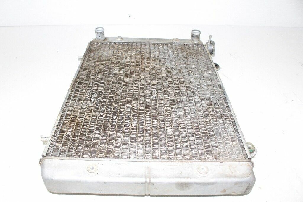 2009 POLARIS Ranger XP 700 Radiator OEM: 1240385