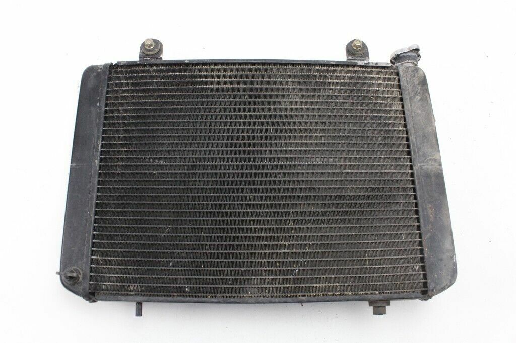 2007 POLARIS Ranger XP 700 Radiator OEM: 1240286