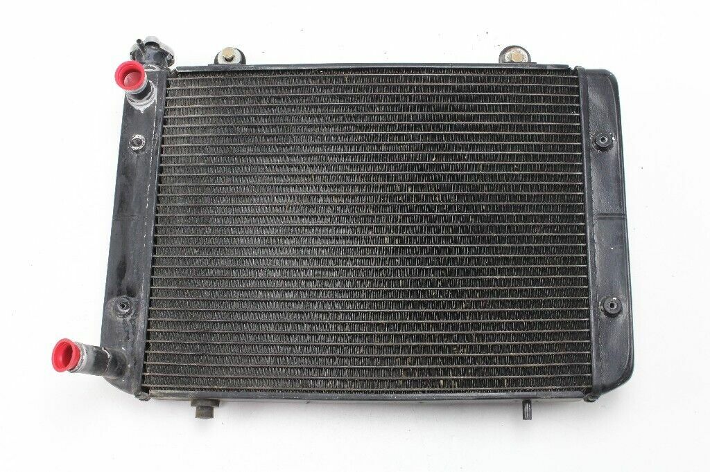 2007 POLARIS Ranger XP 700 Radiator OEM: 1240286